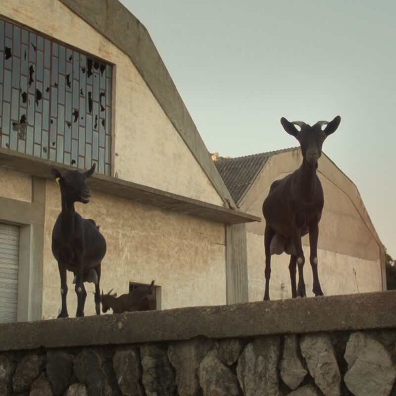 Domus de Janas |  Cinéma