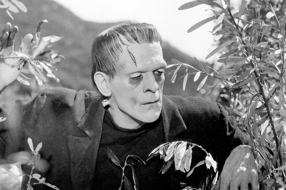 Frankenstein I Ciné Concert | Festival Cinéma