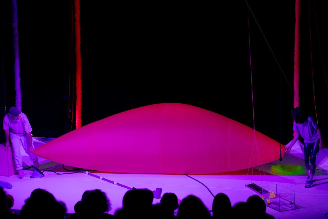 Chromatique | Jeune public Danse