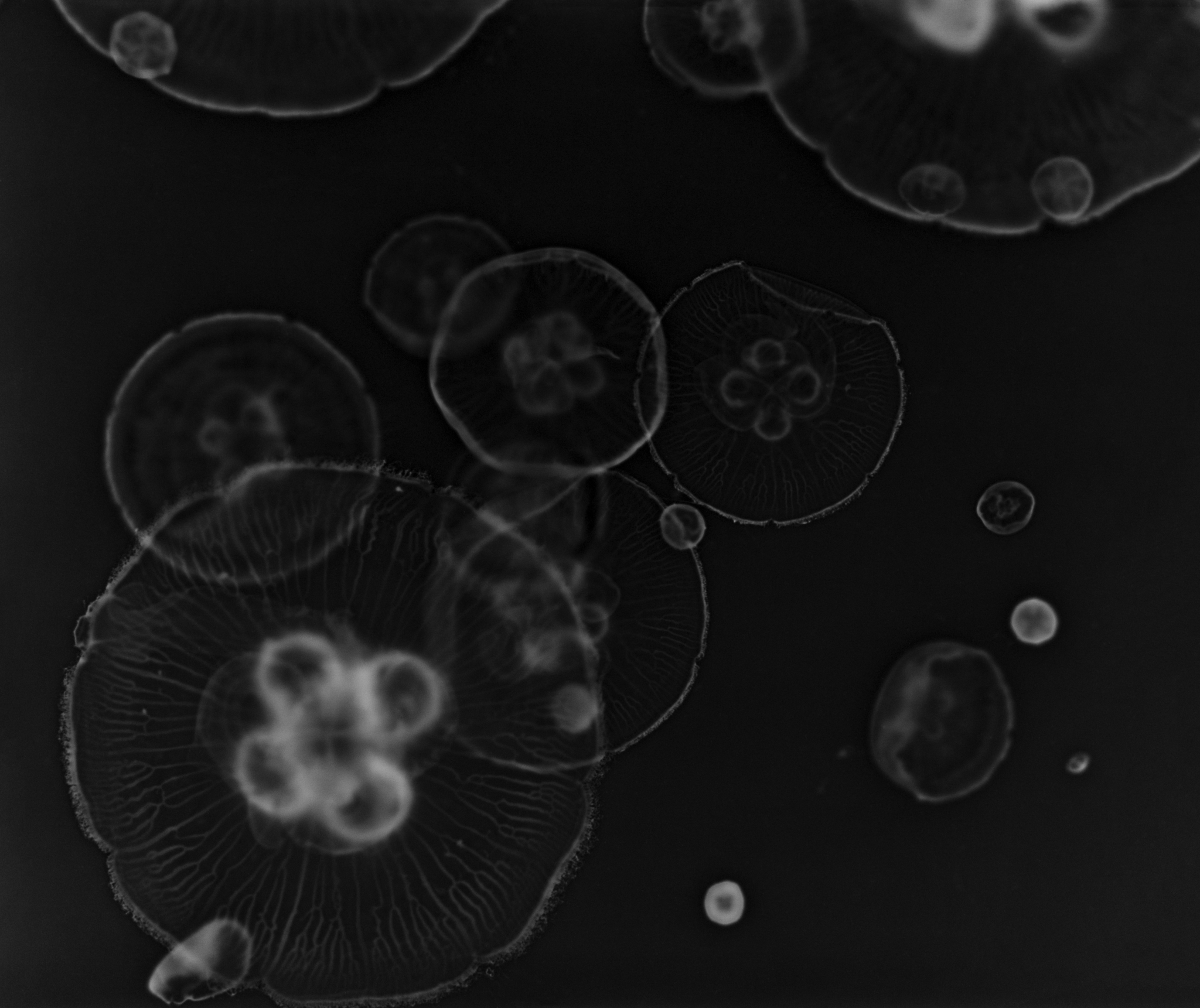 Intersections | Gratuit Expos