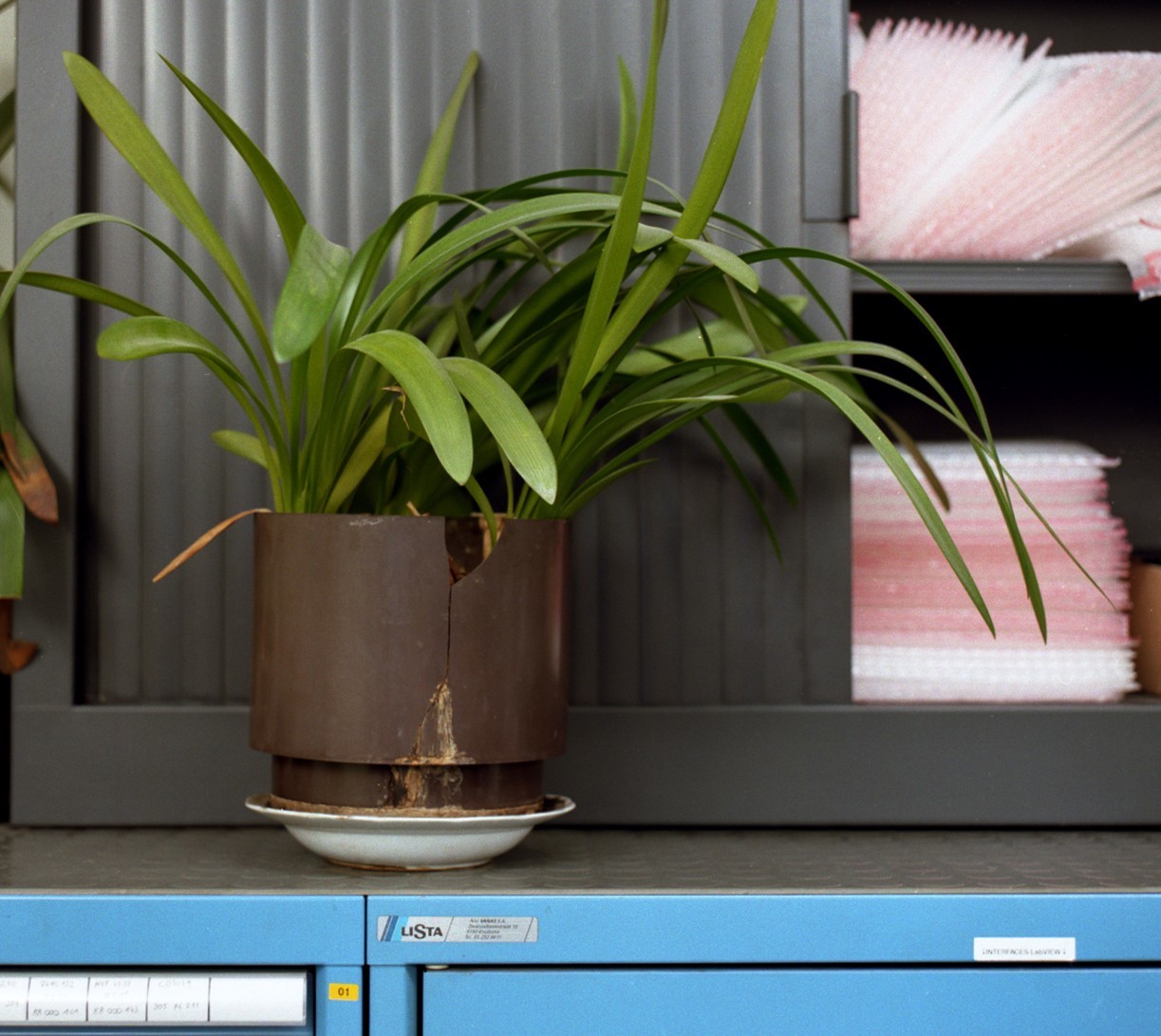 Visite guidée I WORK | Gratuit Visites guidées