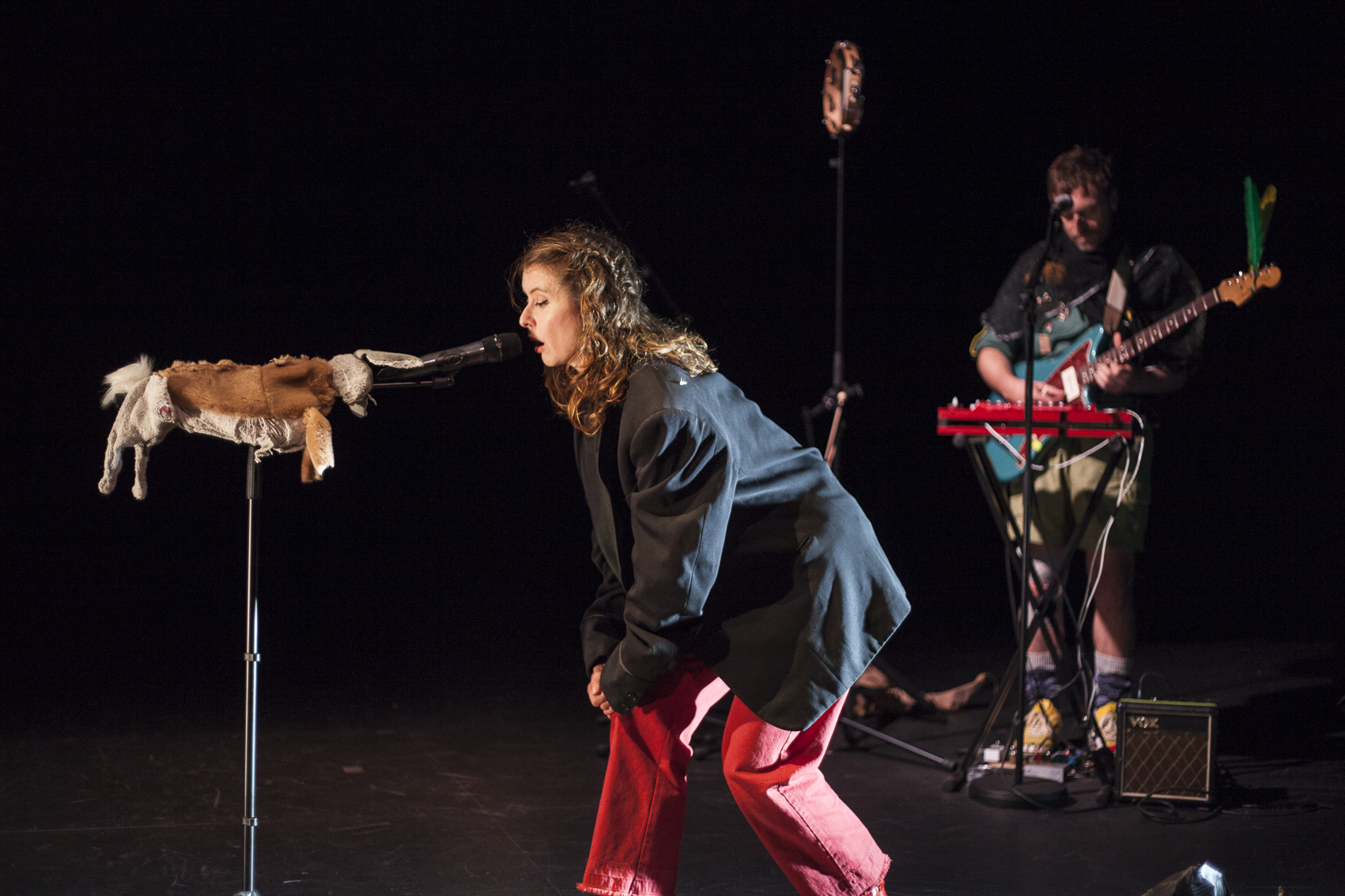 Feux les animaux | Scolaires Concerts