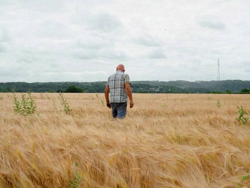Intensif : ces agriculteurs alliés de la Terre |  Cinéma