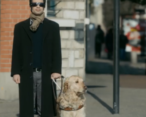 Courts-Métrages TEFF | Jeune public Ciné Rencontre