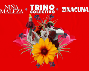 Festival Chili'n Saint-Gilles | Festival Musique