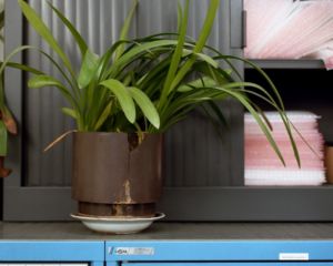 Visite guidée I WORK | Gratuit Visites guidées