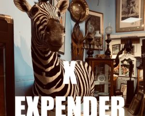 X EXPENDER |  Concerts