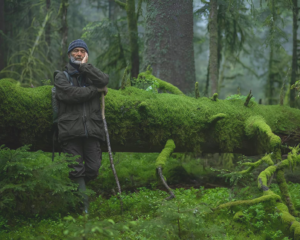 Le chant des forêts |  Cinéma