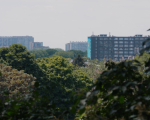 droit au logement. champ | hors-champ | Gratuit Expos