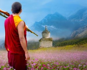 The Monk and the gun |  Cinéma