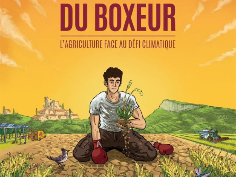 La Théorie du Boxeur | Festival Cinéma