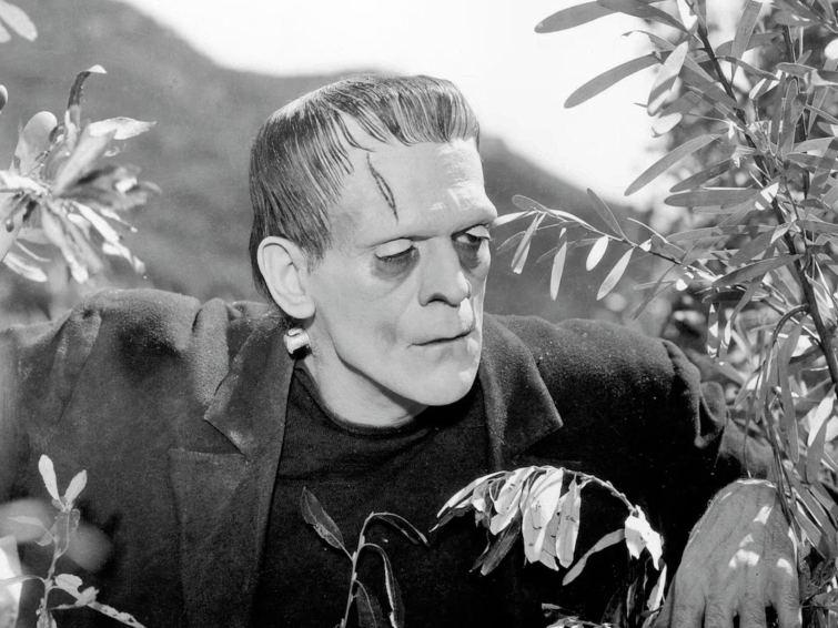 Frankenstein I Ciné Concert | Festival Cinéma