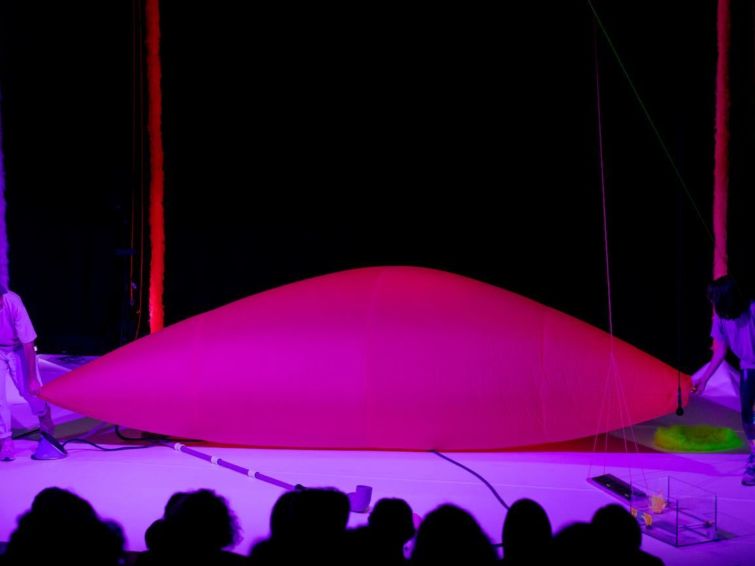 Chromatique | Jeune public Danse