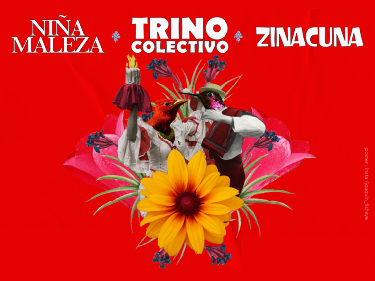 Festival Chili'n Saint-Gilles | Festival Musique