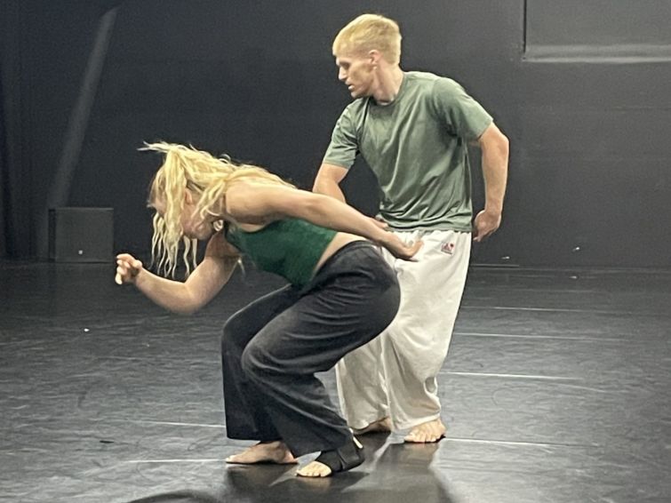 noVLand |  Danse
