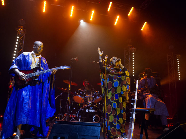 African Culture |  Concerts