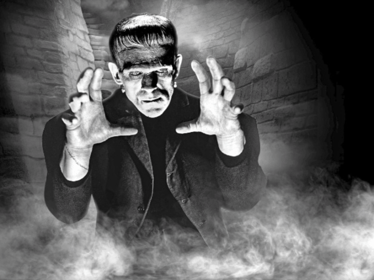 Frankenstein I Ciné Concert | Festival Cinéma