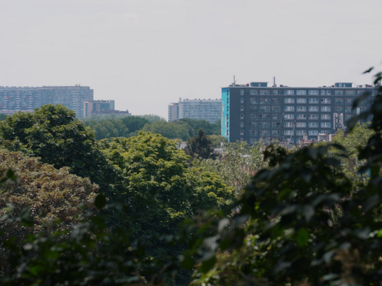 droit au logement. champ | hors-champ | Gratuit Expos