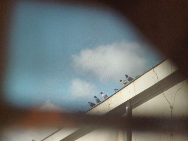 Peines perdues | Associatif Cinéma