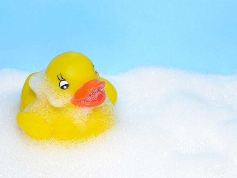 Pièce en plastique | Gratuit Théâtre