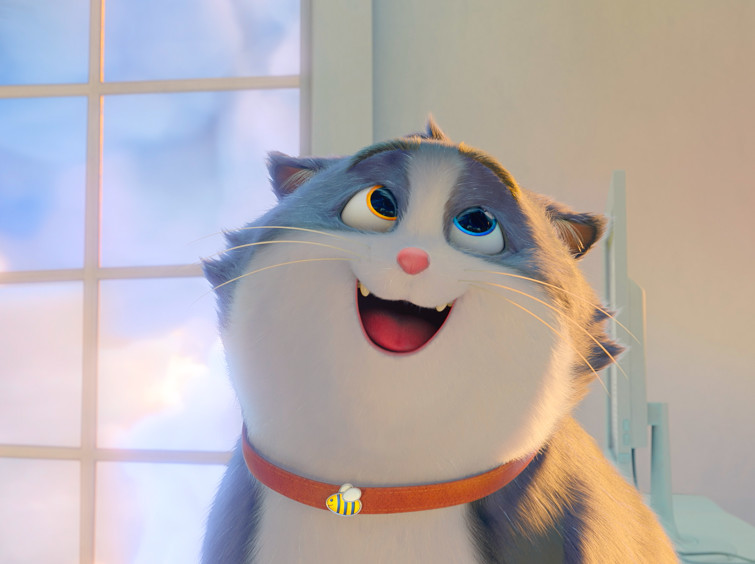 Croquette, le chat merveilleux | Kids Cinéma