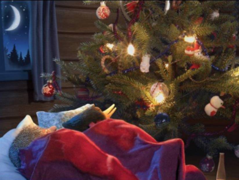 De la neige pour Noël | Scolaire Cinéma