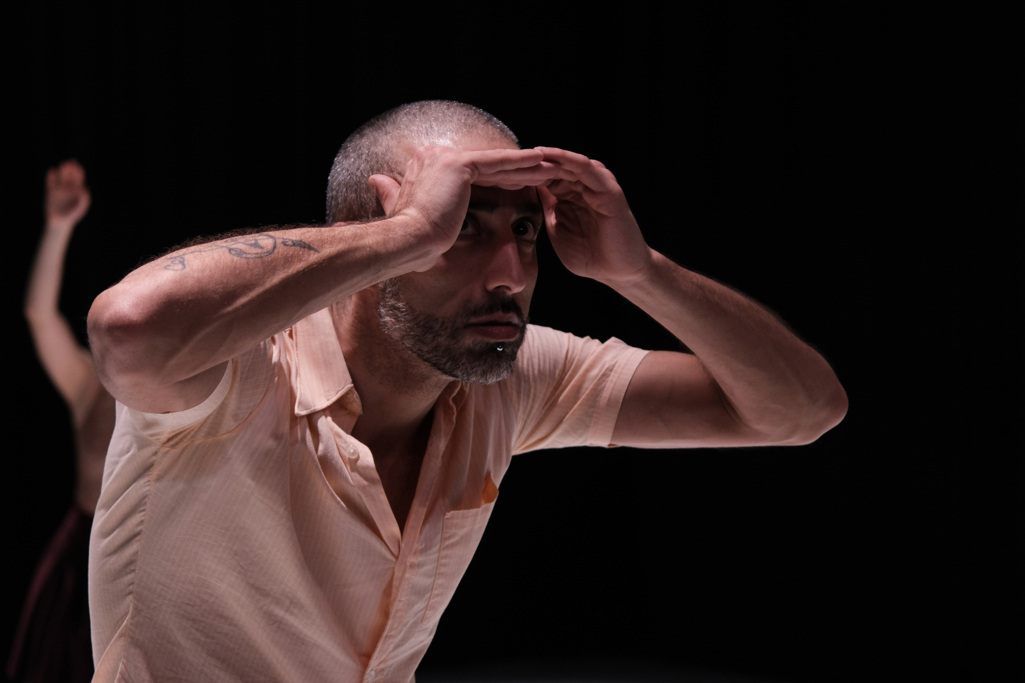 noVLand | Scolaires Danse