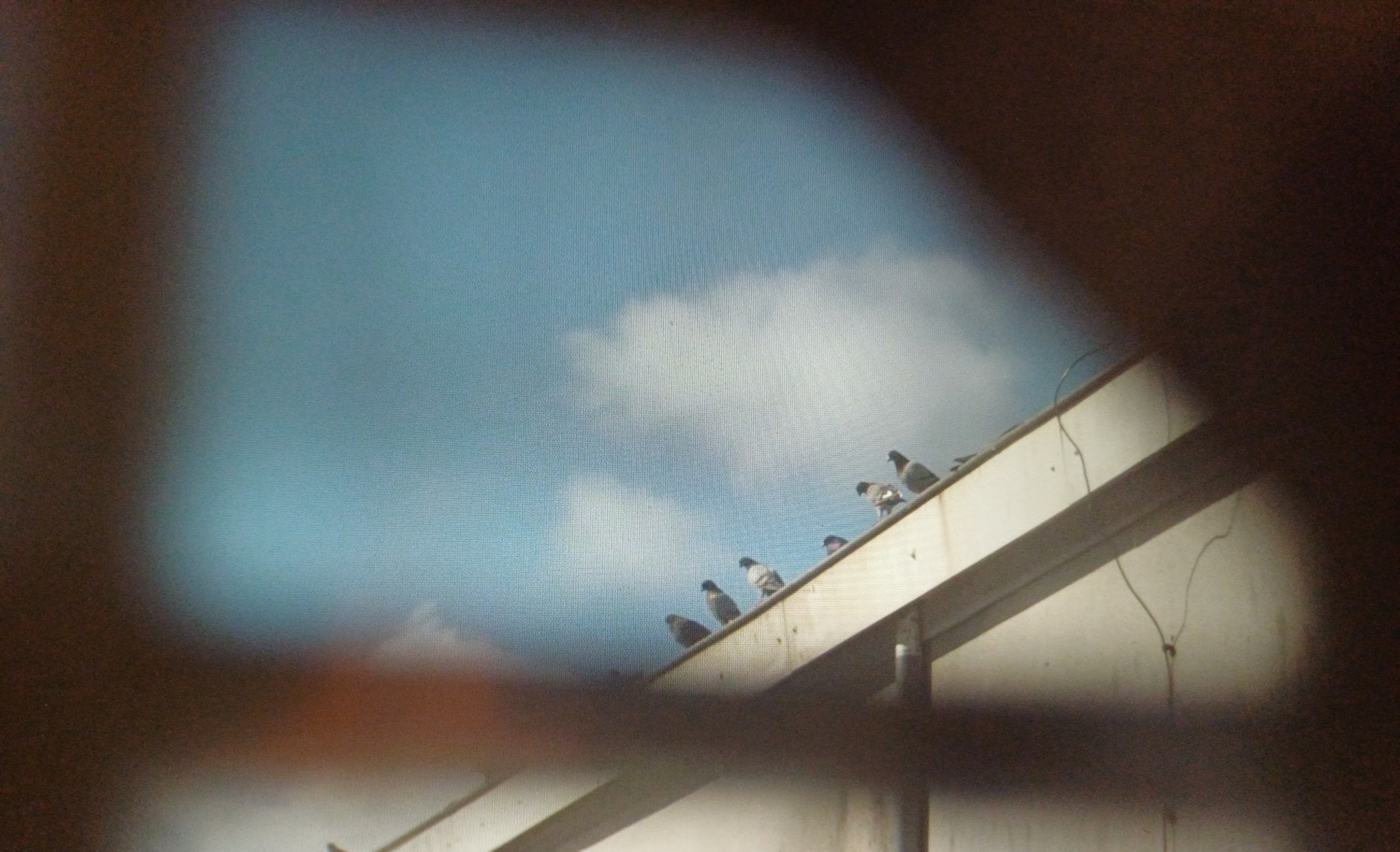 Peines perdues | Associatif Cinéma