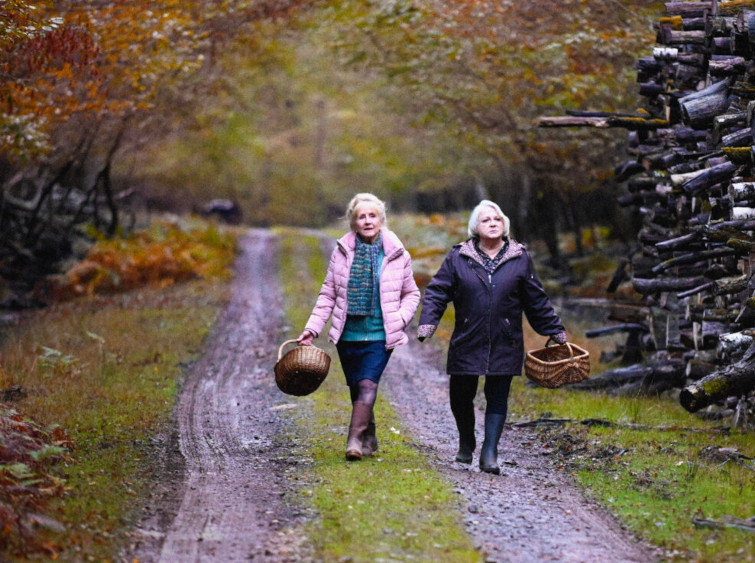 Quand vient l'automne |  Cinéma